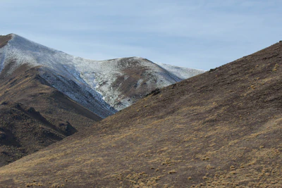 bald brown hills 166 — Скачать