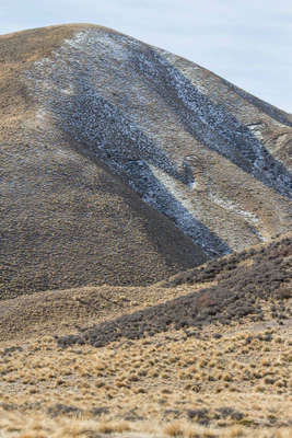 bald brown hills 168 — Descargar