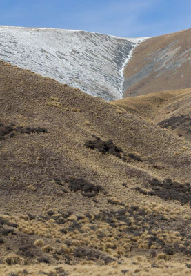 bald brown hills 171 — Descargar