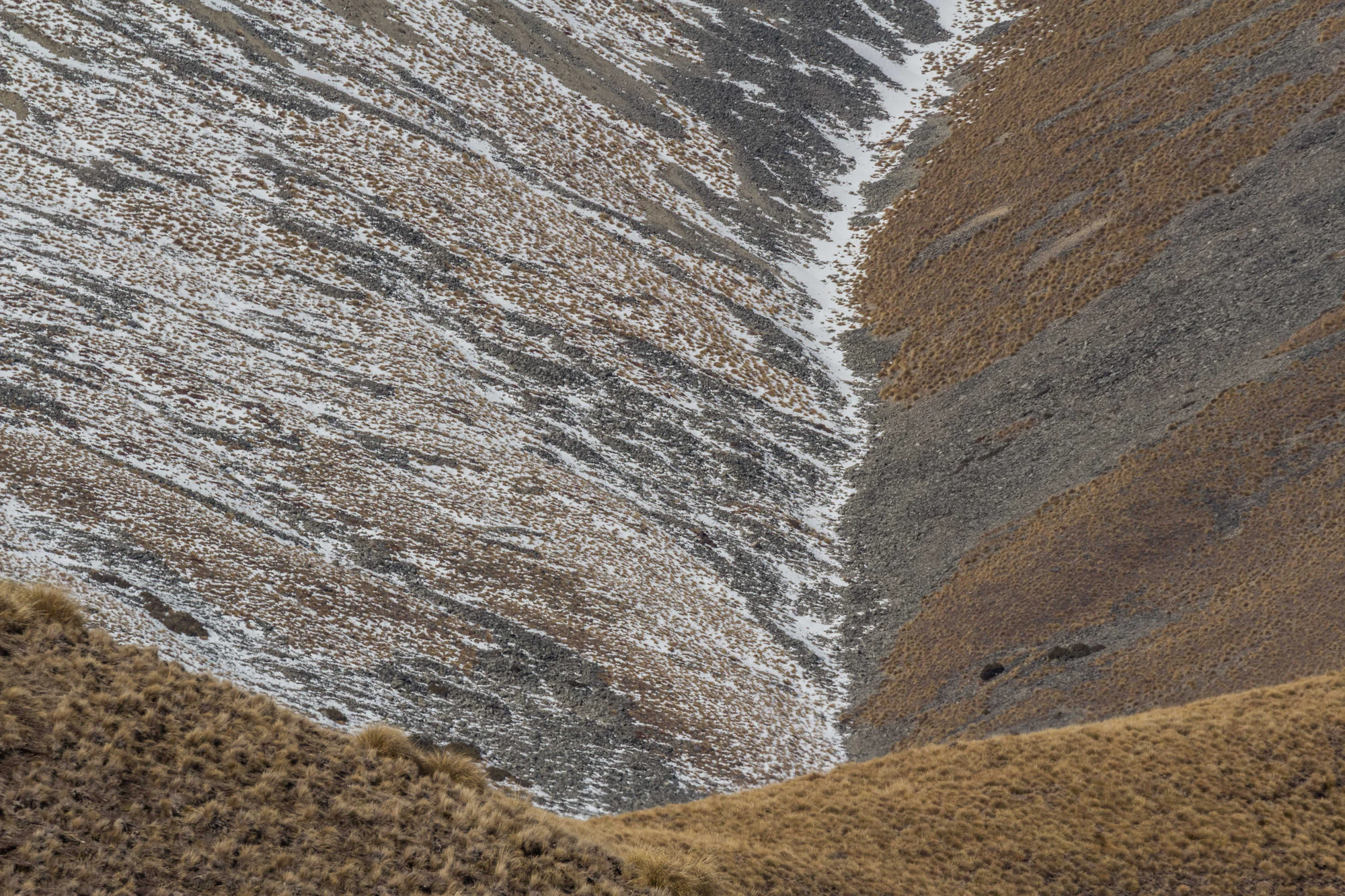 bald brown hills 172 — Descargar