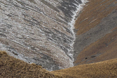 bald brown hills 172 — descargar