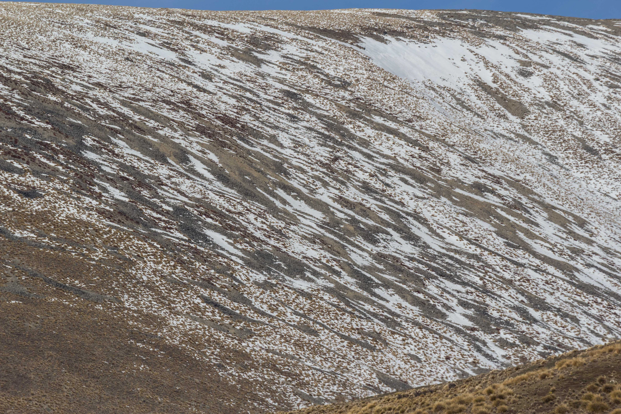 bald brown hills 173 — Скачать