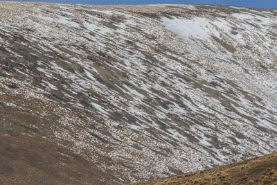 bald brown hills 173 — descargar