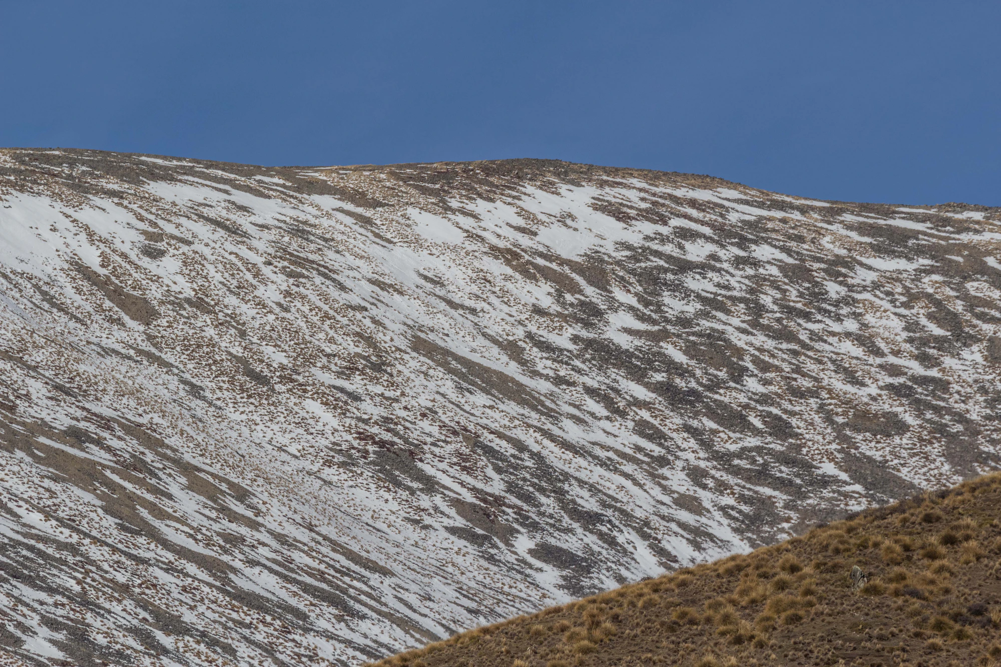 bald brown hills 174 — Descargar