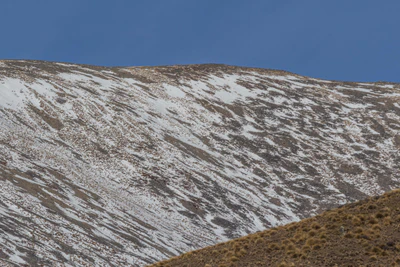 bald brown hills 174 — descargar