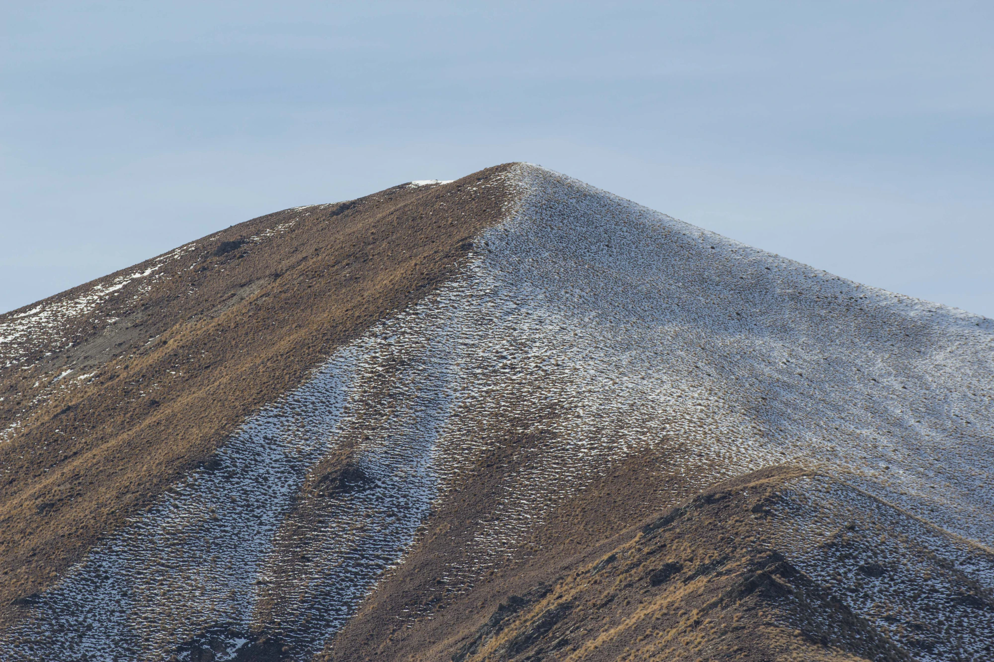 bald brown hills 175 — Скачать