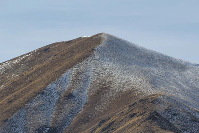 bald brown hills 175 — descargar