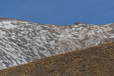 bald brown hills 176 — descargar