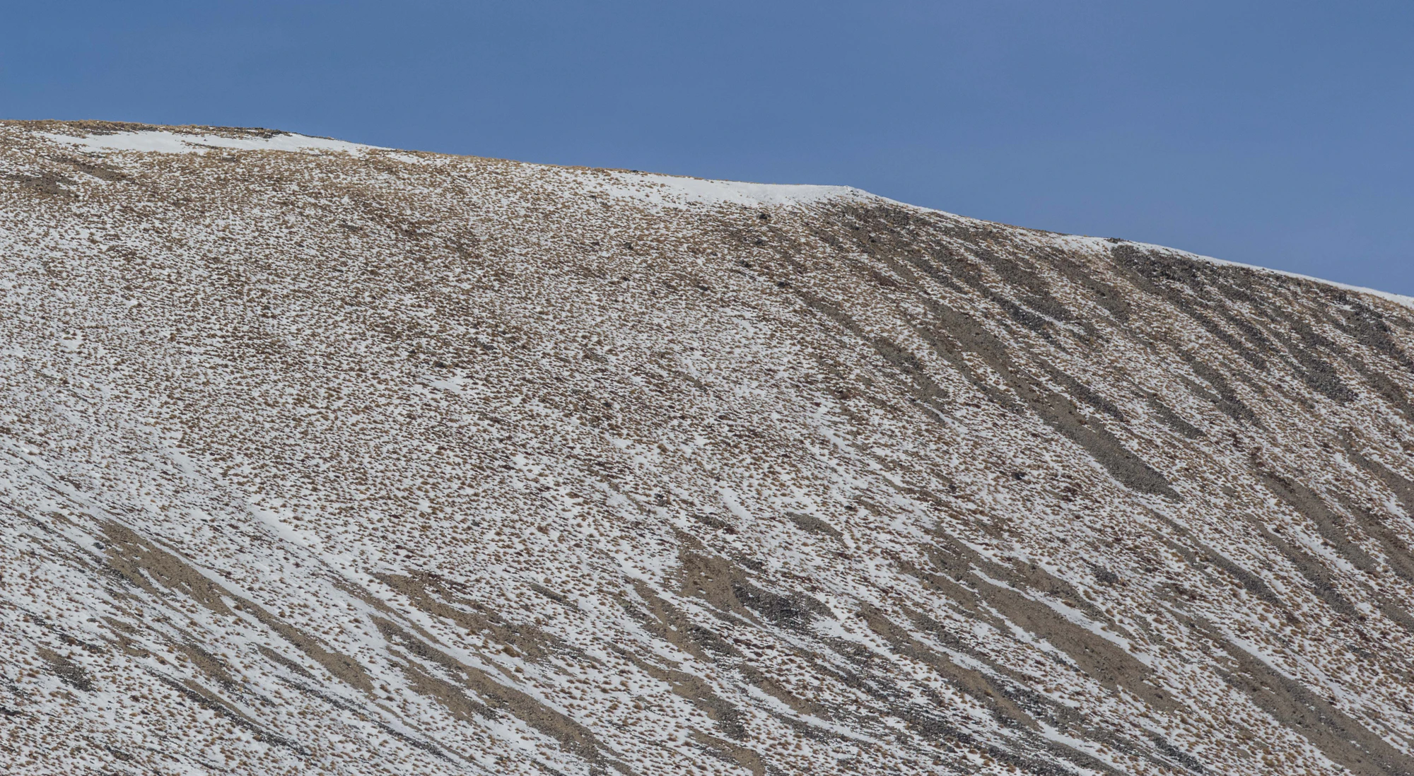 bald brown hills 177 — Descargar