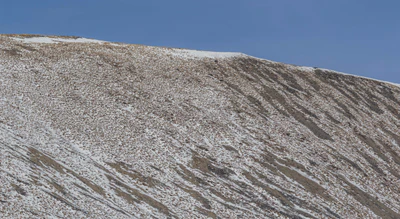 bald brown hills 177 — descargar