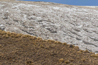 bald brown hills 178 — descargar