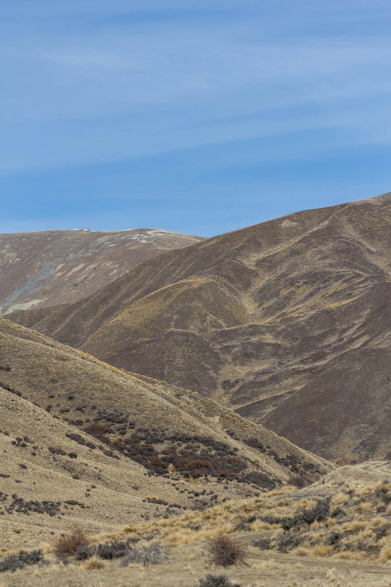 bald brown hills 180 — Descargar