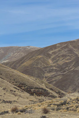 bald brown hills 180 — descargar