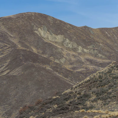 bald brown hills 181 — descargar