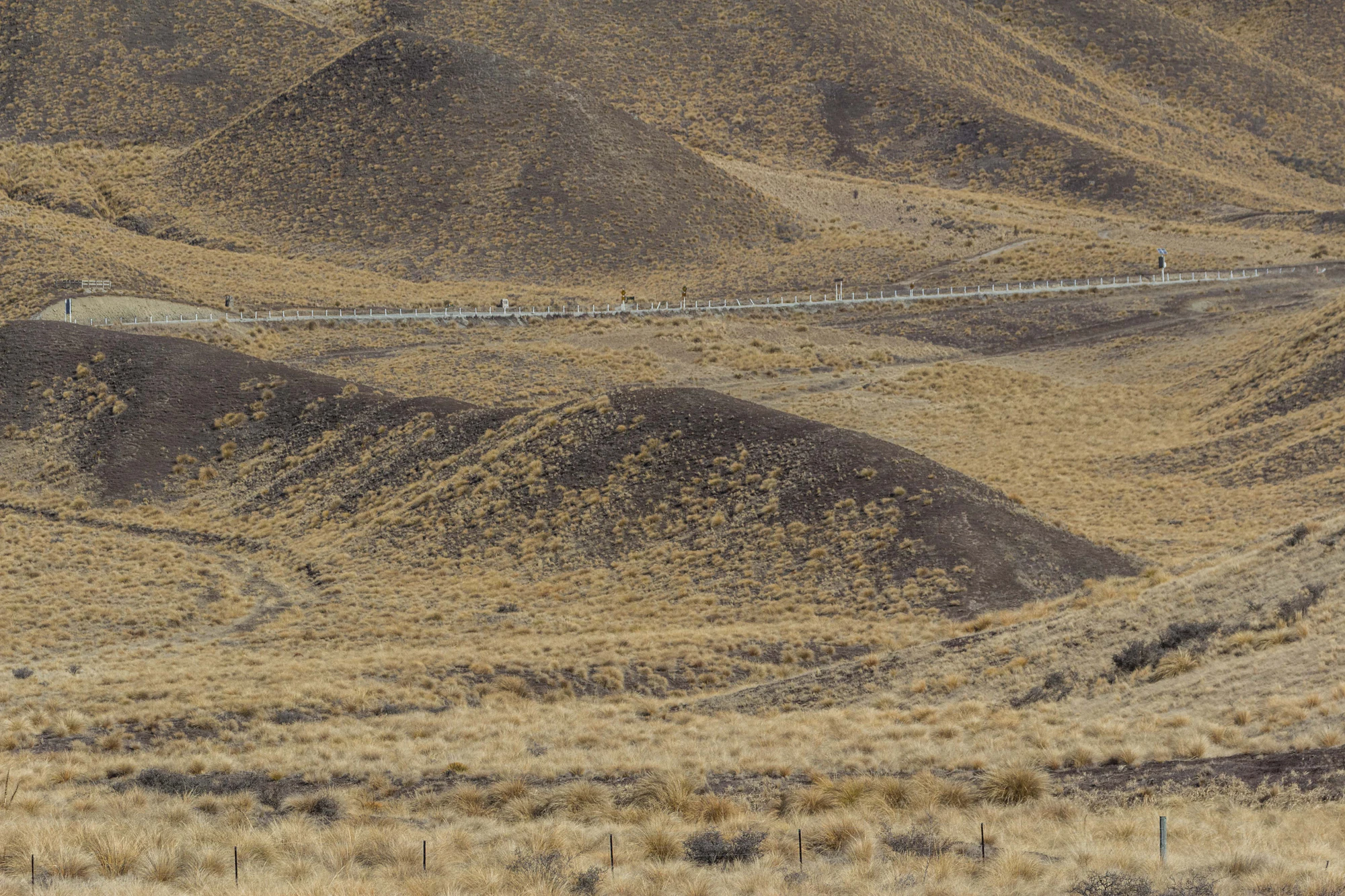 bald brown hills 183 — Скачать