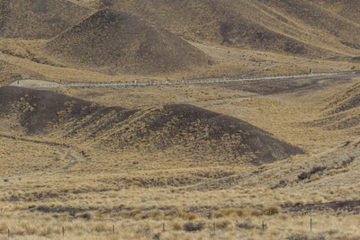 bald brown hills 183 — descargar