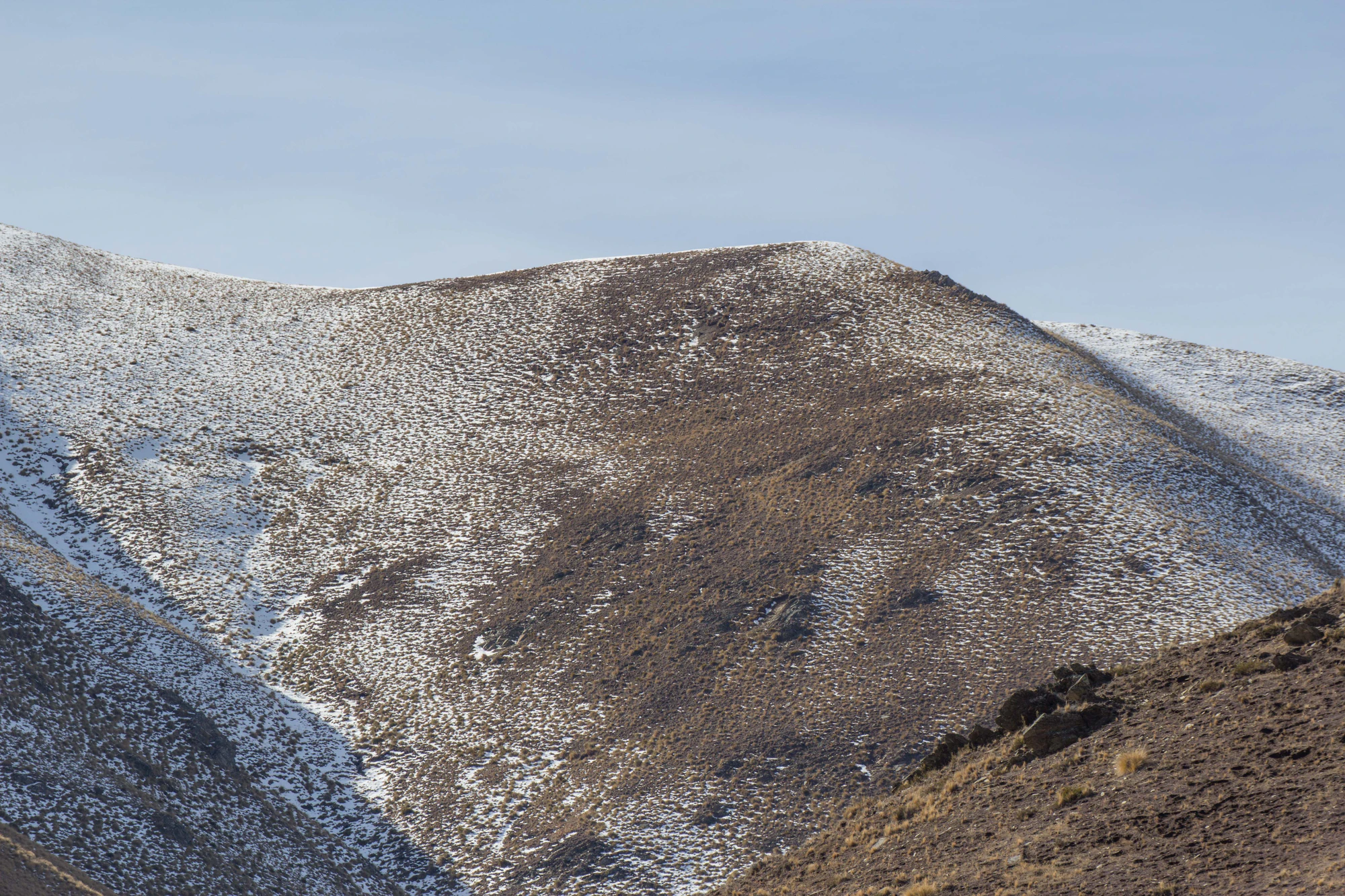 bald brown hills 184 — Скачать