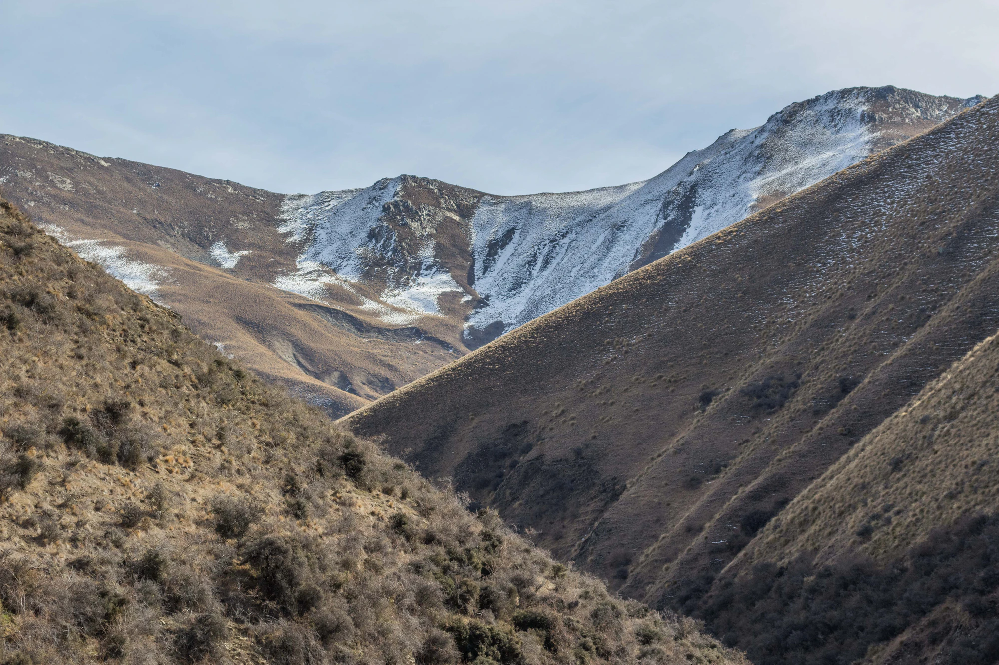 bald brown hills 185 — Скачать