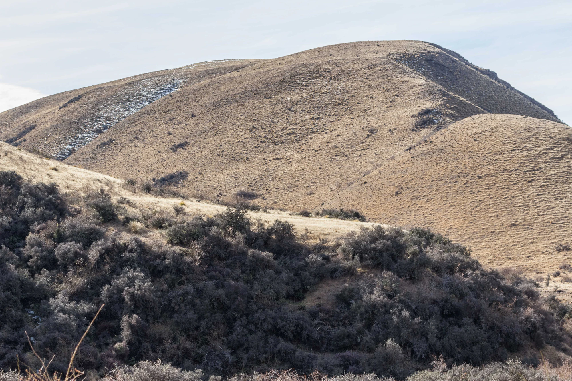 bald brown hills 188 — Скачать