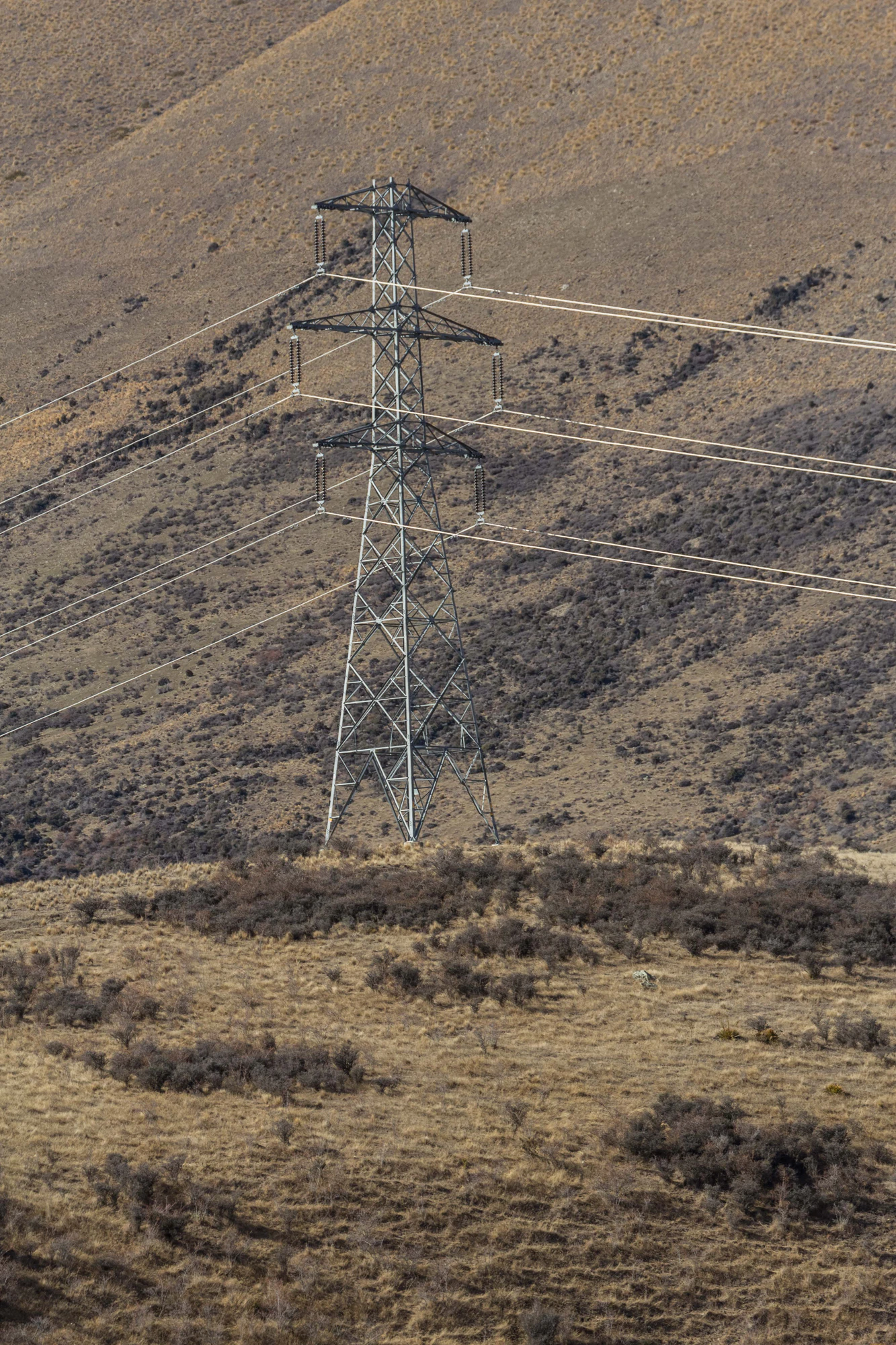 bald brown hills 191 — Скачать