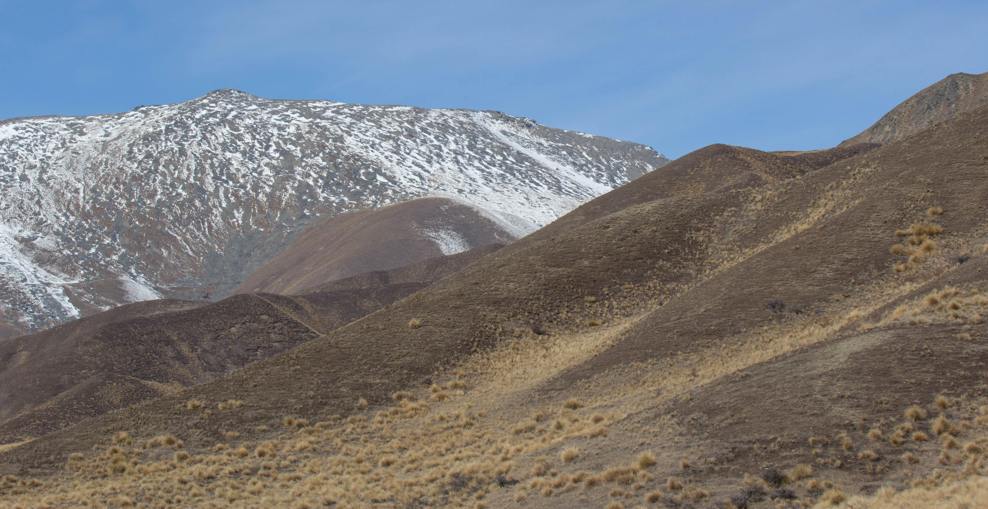 bald brown hills 192 — Descargar