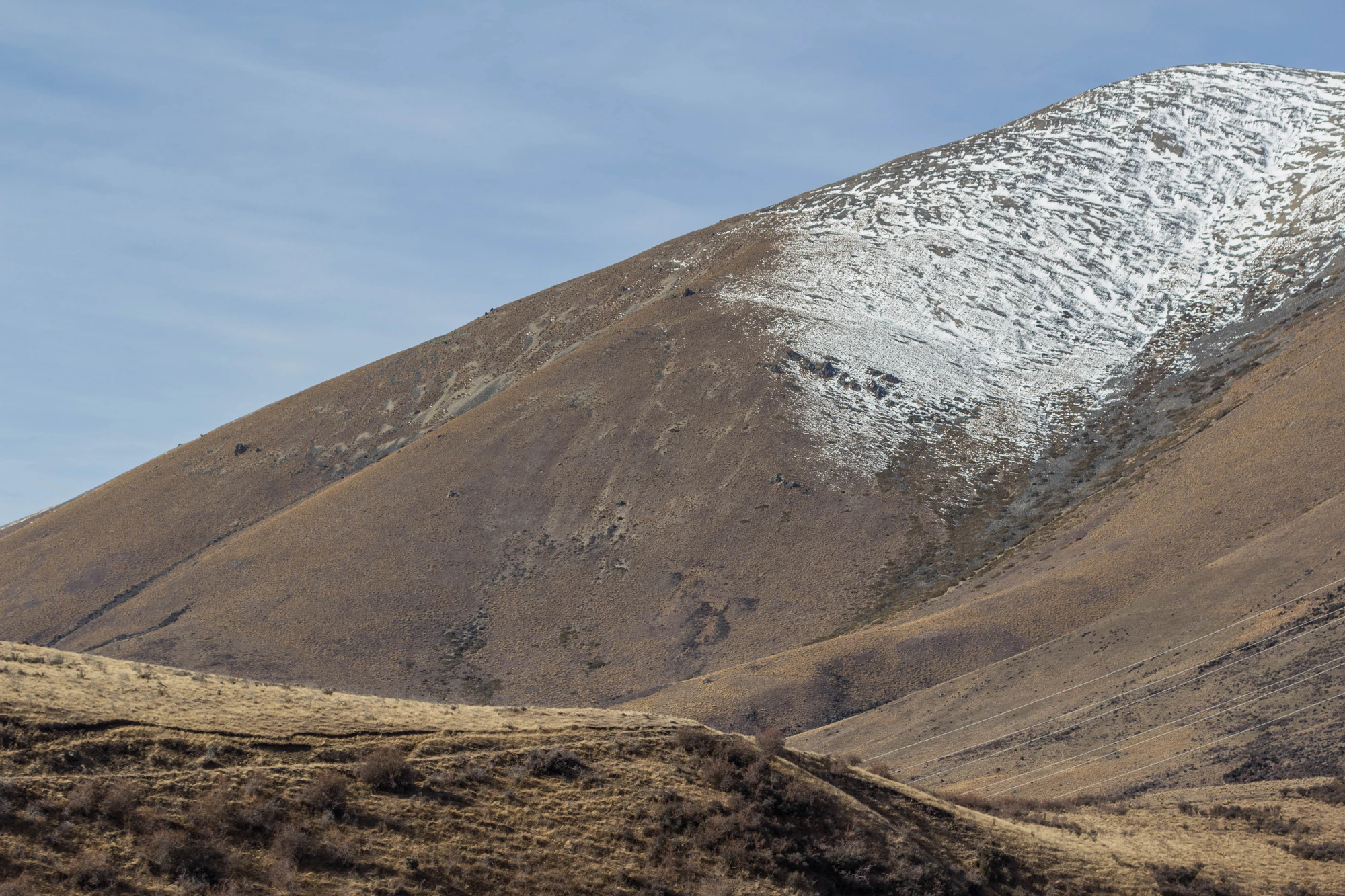 bald brown hills 193 — Скачать