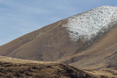 bald brown hills 193 — descargar