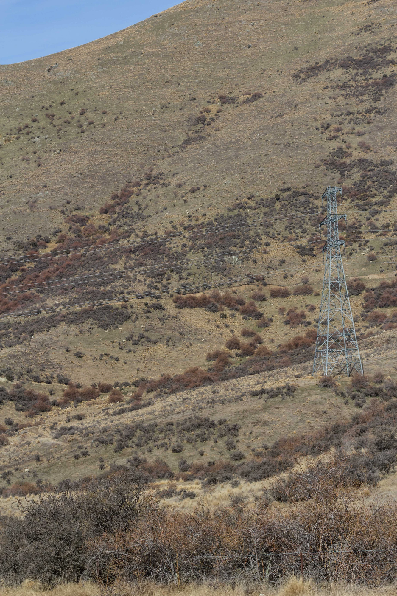 bald brown hills 199 — Descargar