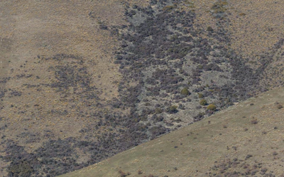 bald brown hills 202 — descargar