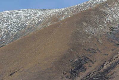 bald brown hills 206 — descargar