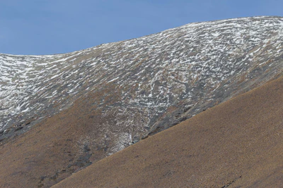 bald brown hills 207 — descargar