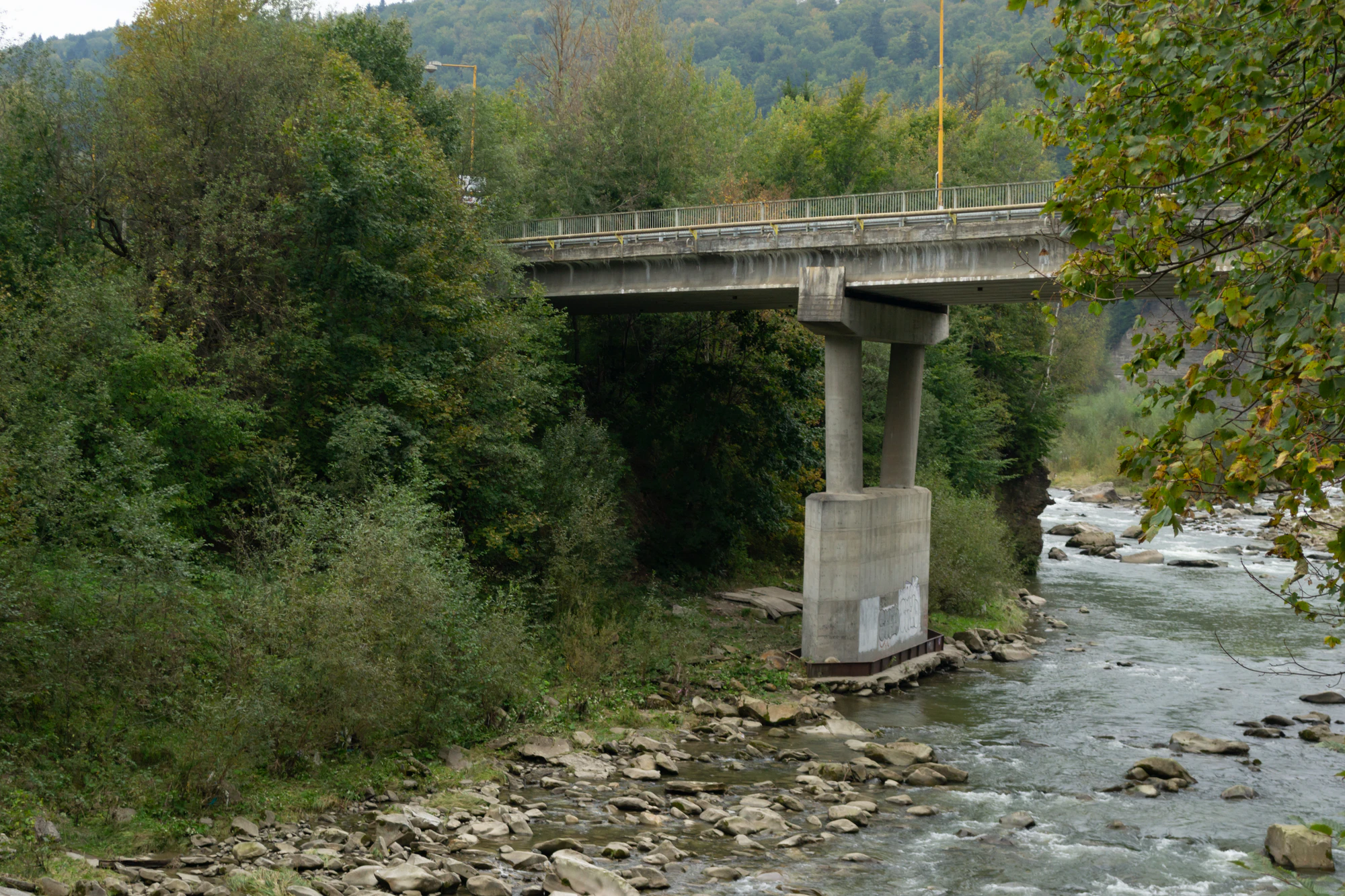 carpathian mountains in summer 001 — Скачать