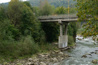 carpathian mountains in summer 001 — Скачать