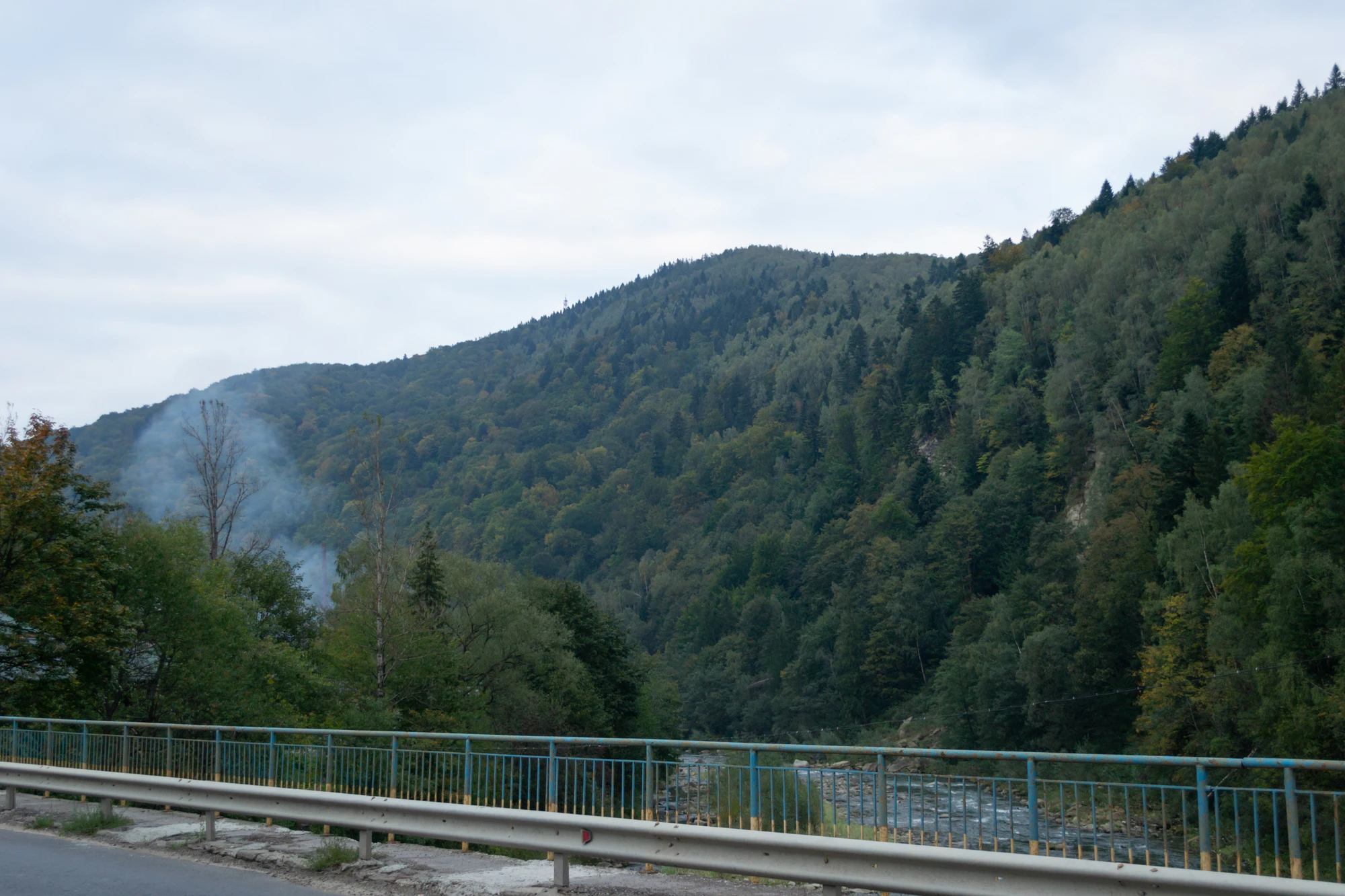 carpathian mountains in summer 009 — Скачать