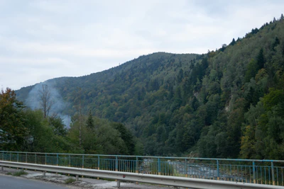 carpathian mountains in summer 009 — Скачать