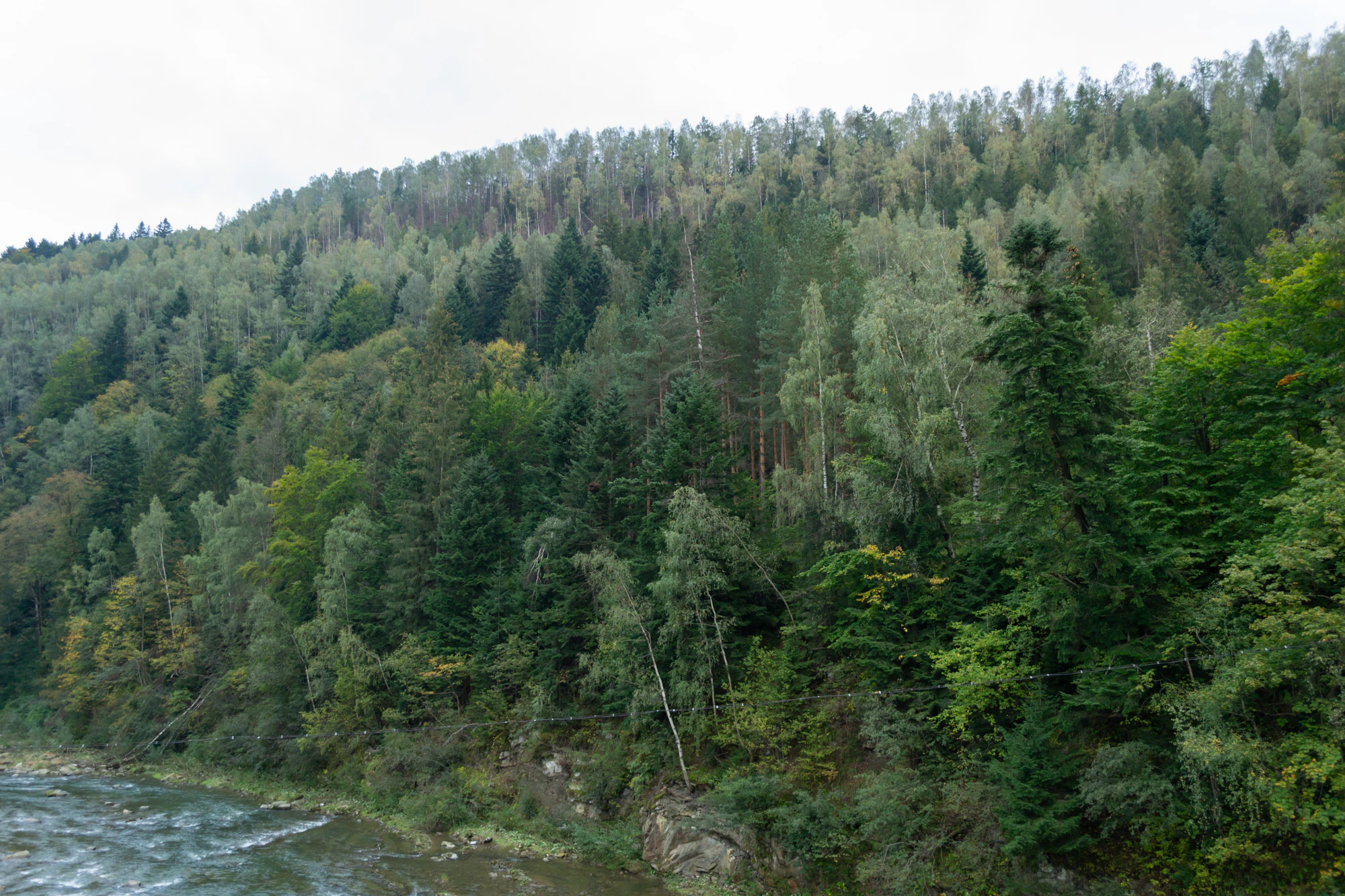 carpathian mountains in summer 013 — Descargar