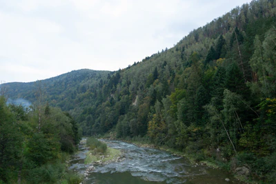 carpathian mountains in summer 014 — Скачать