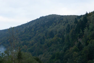 carpathian mountains in summer 015 — Скачать