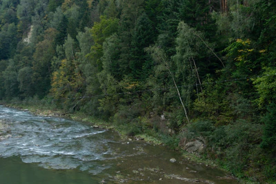 carpathian mountains in summer 016 — Descargar