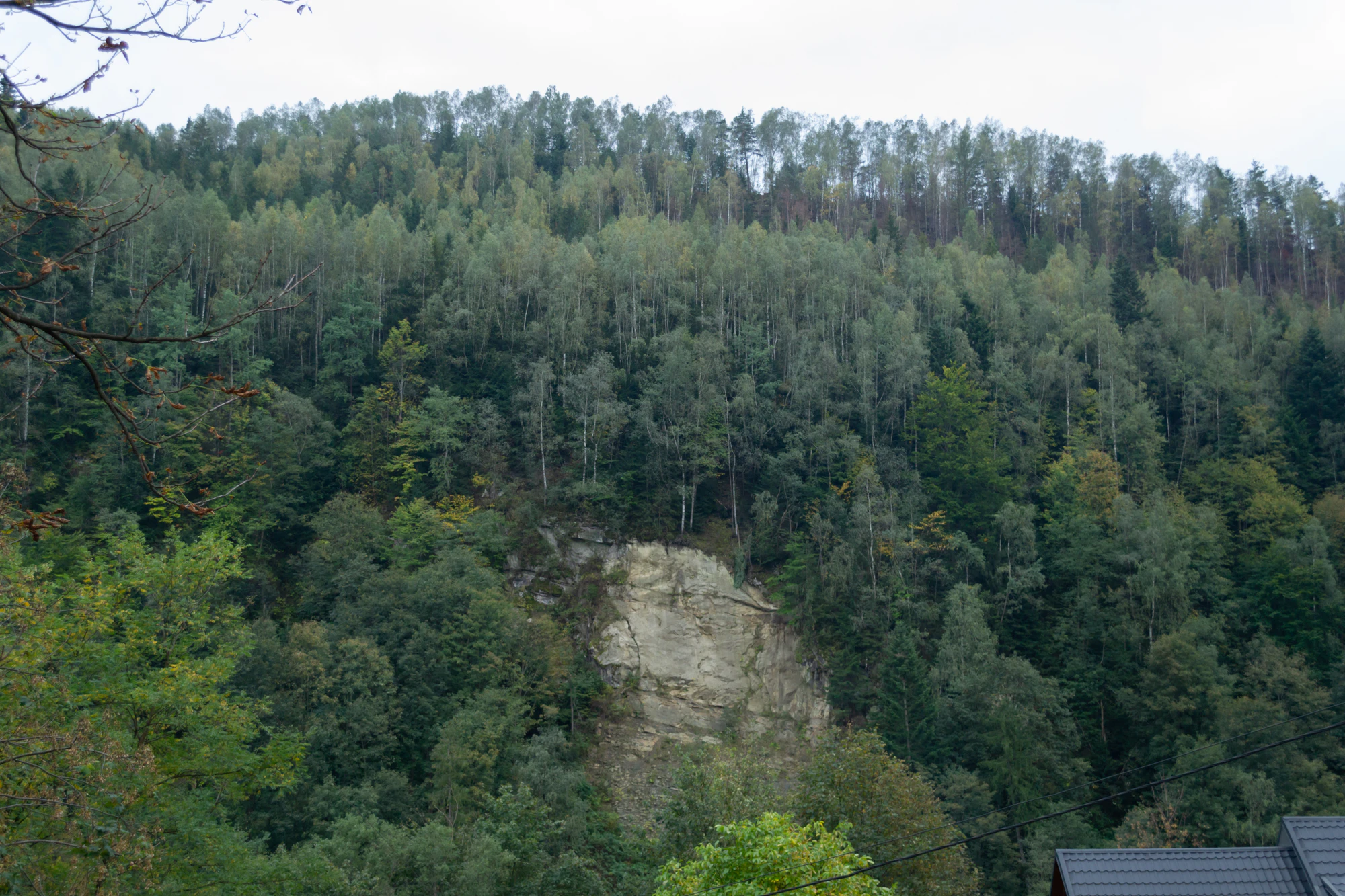 carpathian mountains in summer 017 — Descargar