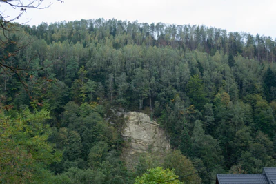 carpathian mountains in summer 017 — Descargar