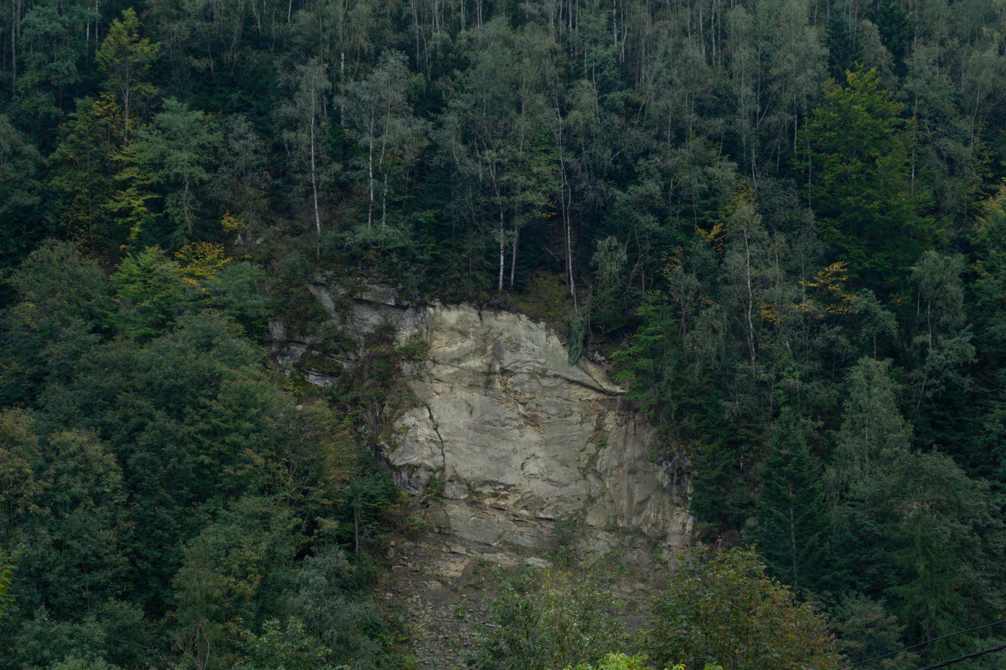 carpathian mountains in summer 018 — Скачать