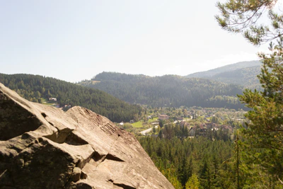 carpathian mountains in summer 020 — Скачать