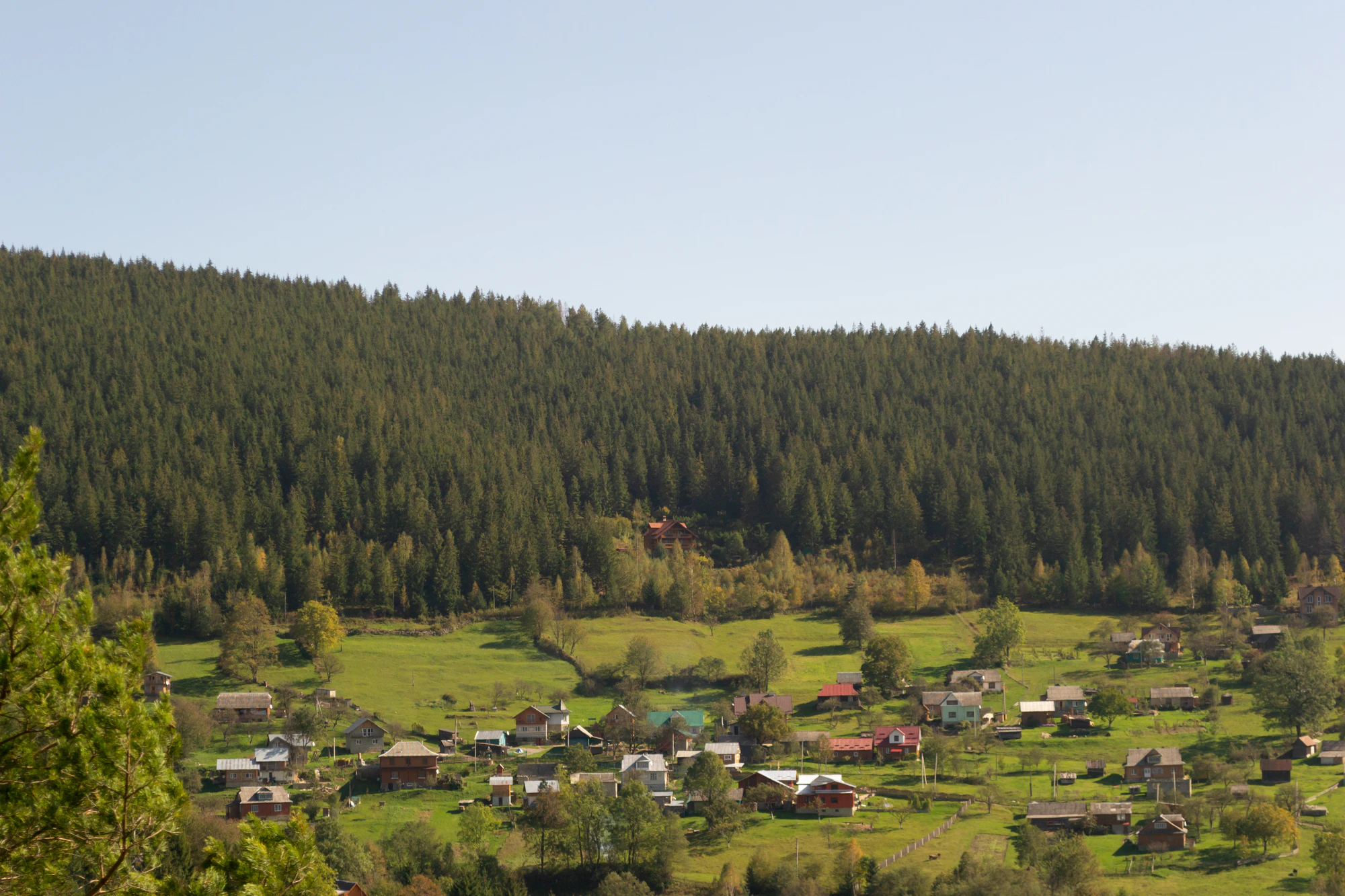 carpathian mountains in summer 022 — Descargar