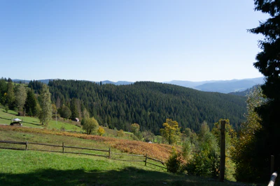 carpathian mountains in summer 027 — Скачать