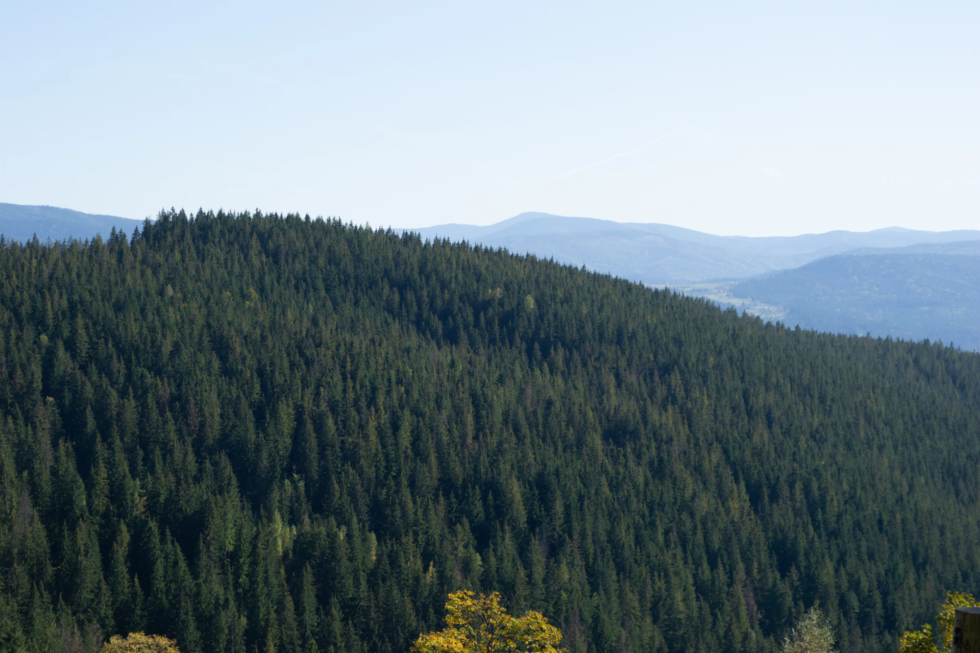 carpathian mountains in summer 029 — Скачать