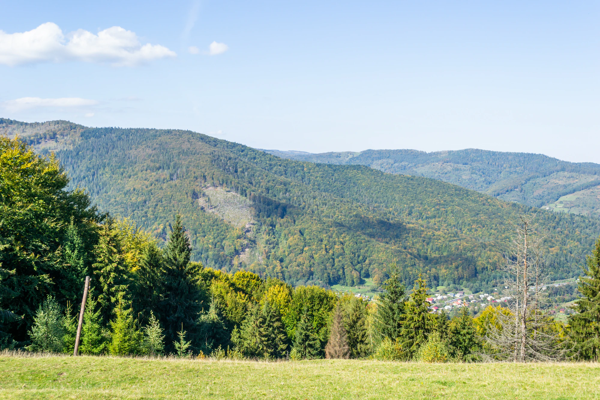 carpathian mountains in summer 031 — Скачать