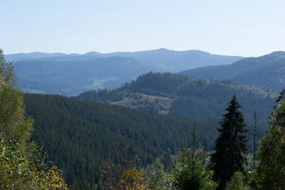 carpathian mountains in summer 032 — Скачать