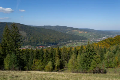 carpathian mountains in summer 033 — Скачать