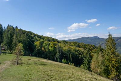 carpathian mountains in summer 034 — Скачать